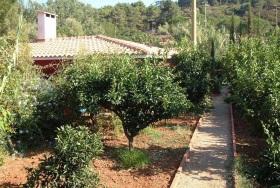 Garten Garten